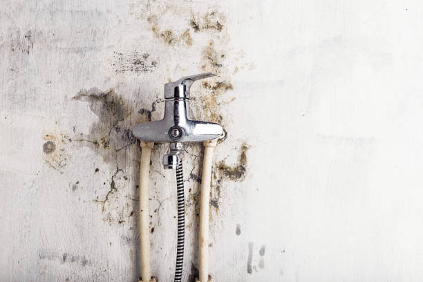 Best Commercial Mold Removal  in Martinez, CA