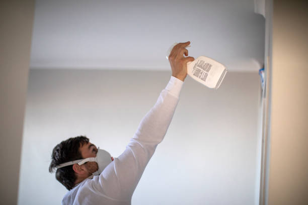 Best Affordable Mold Removal  in Martinez, CA