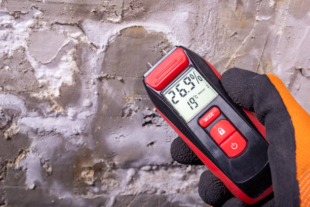 Best Mold Damage Repair  in Martinez, CA