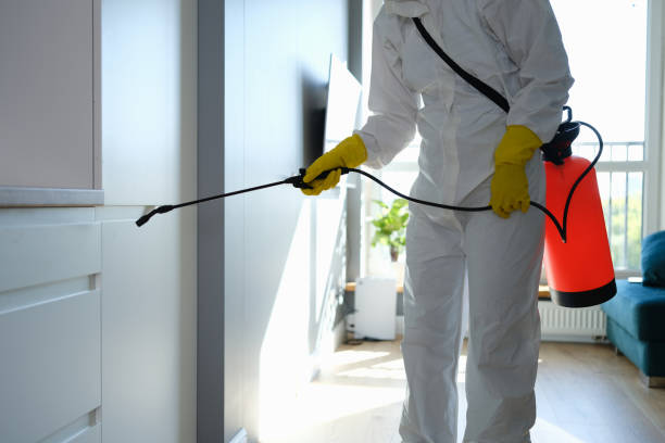 Best Residential Mold Removal  in Martinez, CA