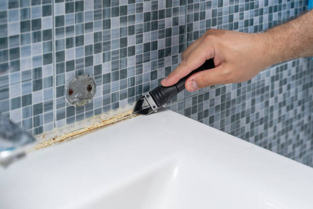 Best Certified Mold Removal  in Martinez, CA
