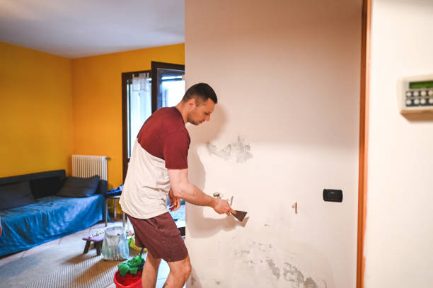 Best Affordable Mold Removal  in Martinez, CA